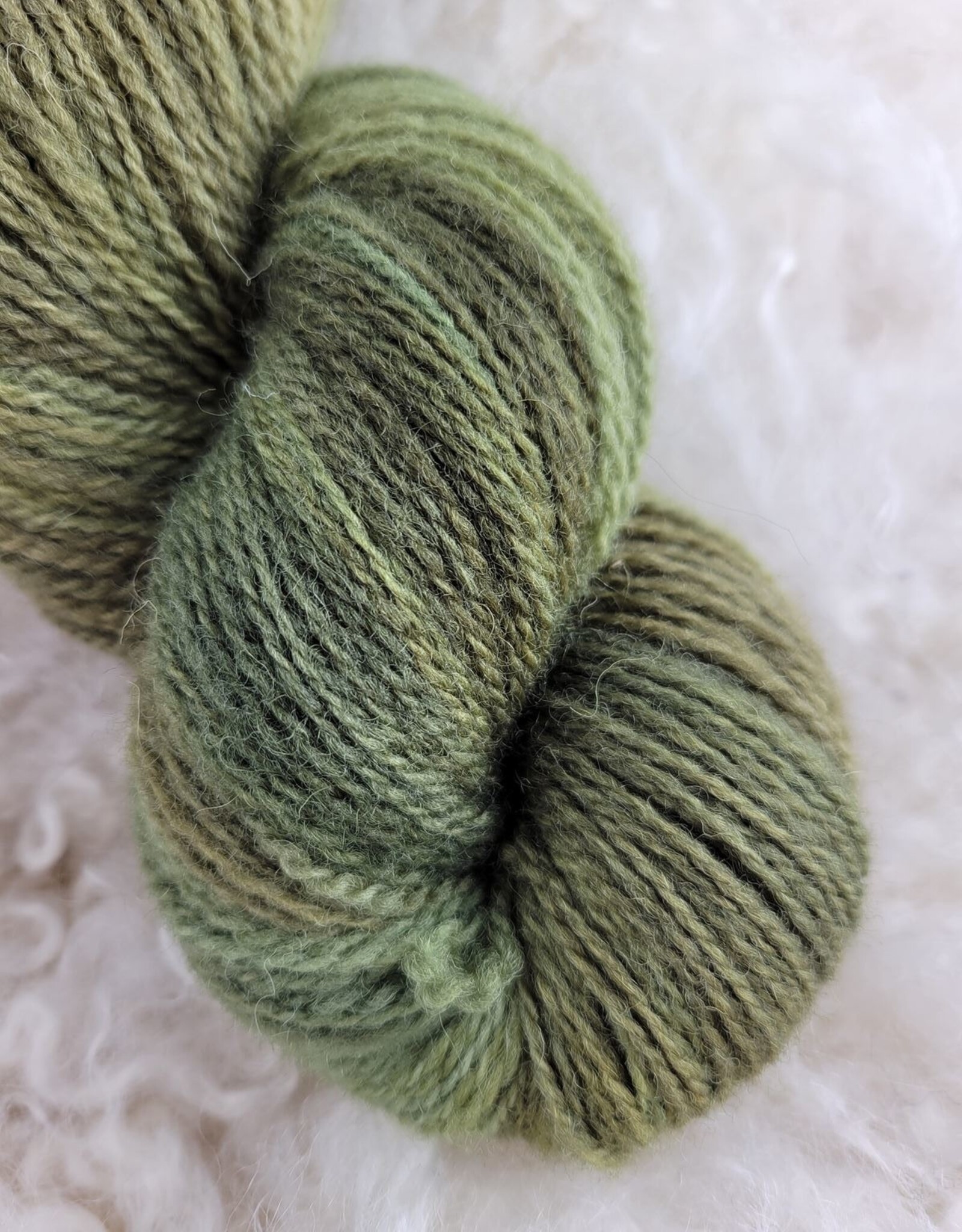 Palouse Yarn Co Dorset Horn Sport 100g Frog Pond