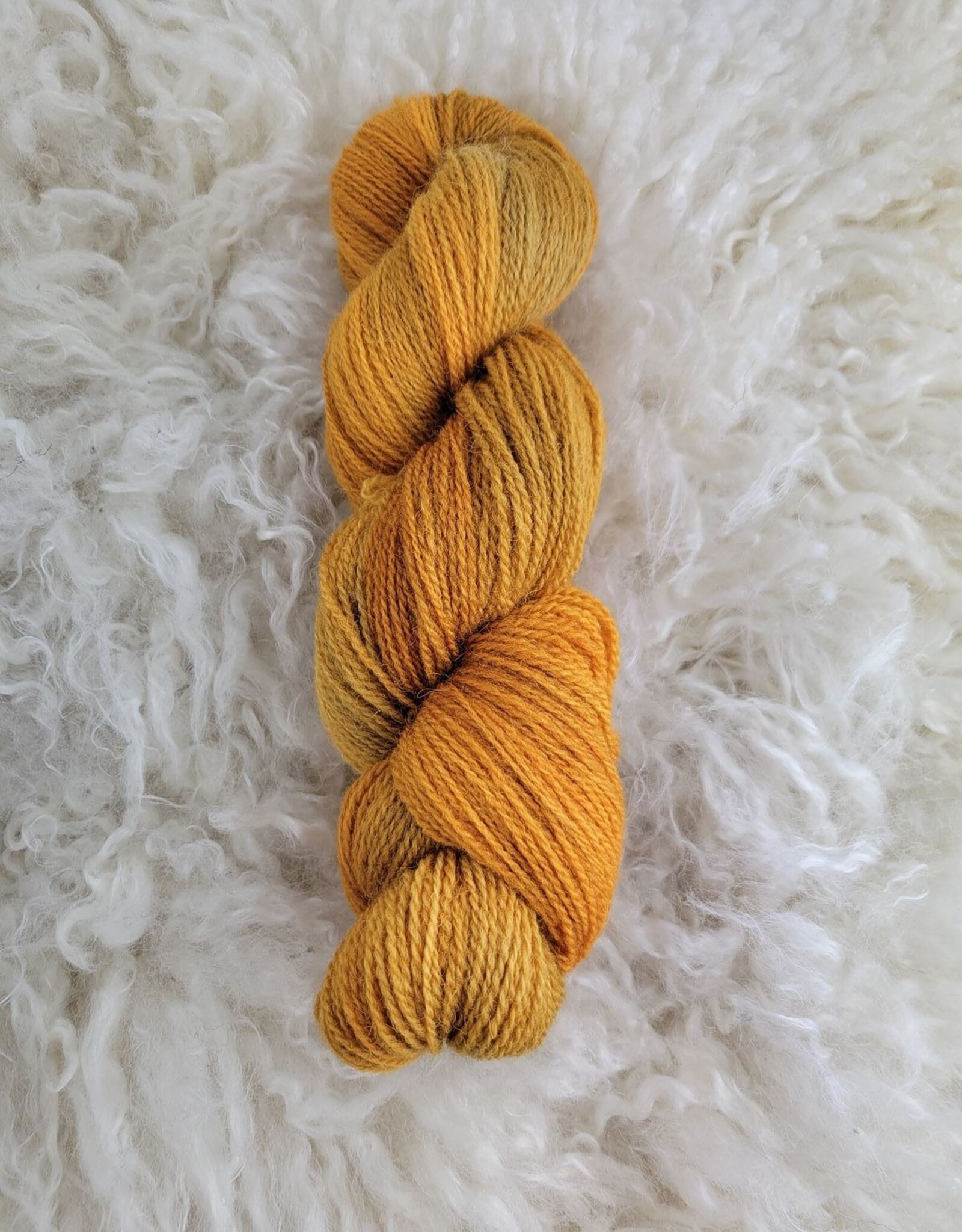Palouse Yarn Dorset Horn Sport 100g Apricot Jam