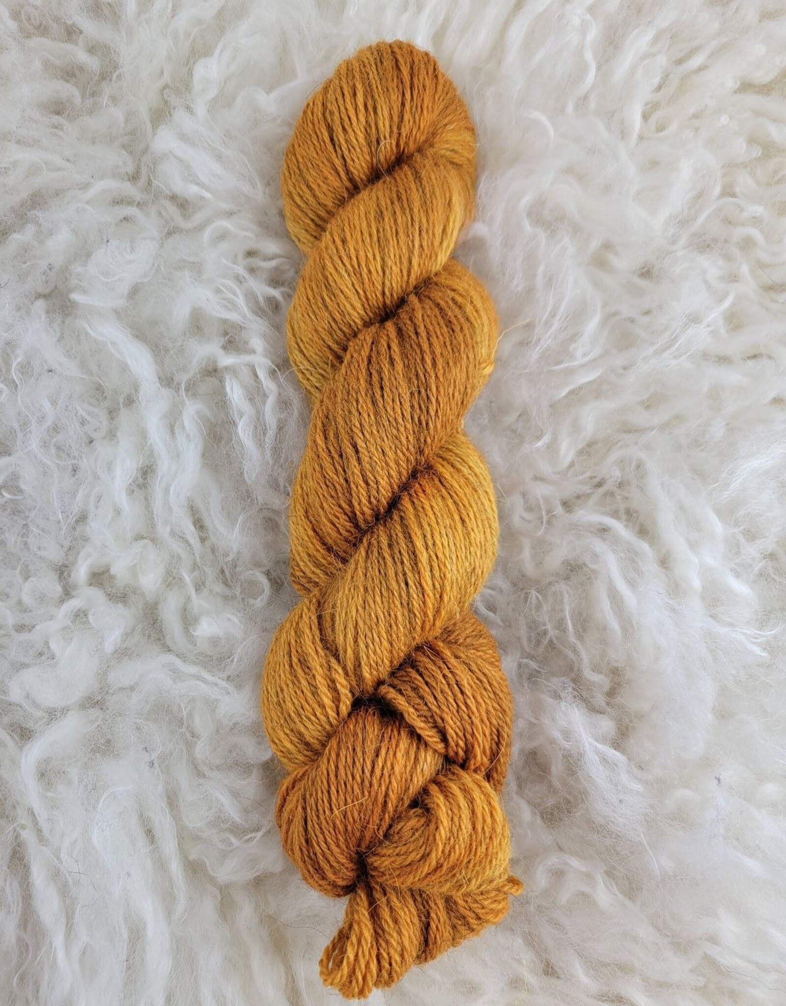 Palouse Yarn Moorland DK 100g Apricot Jam