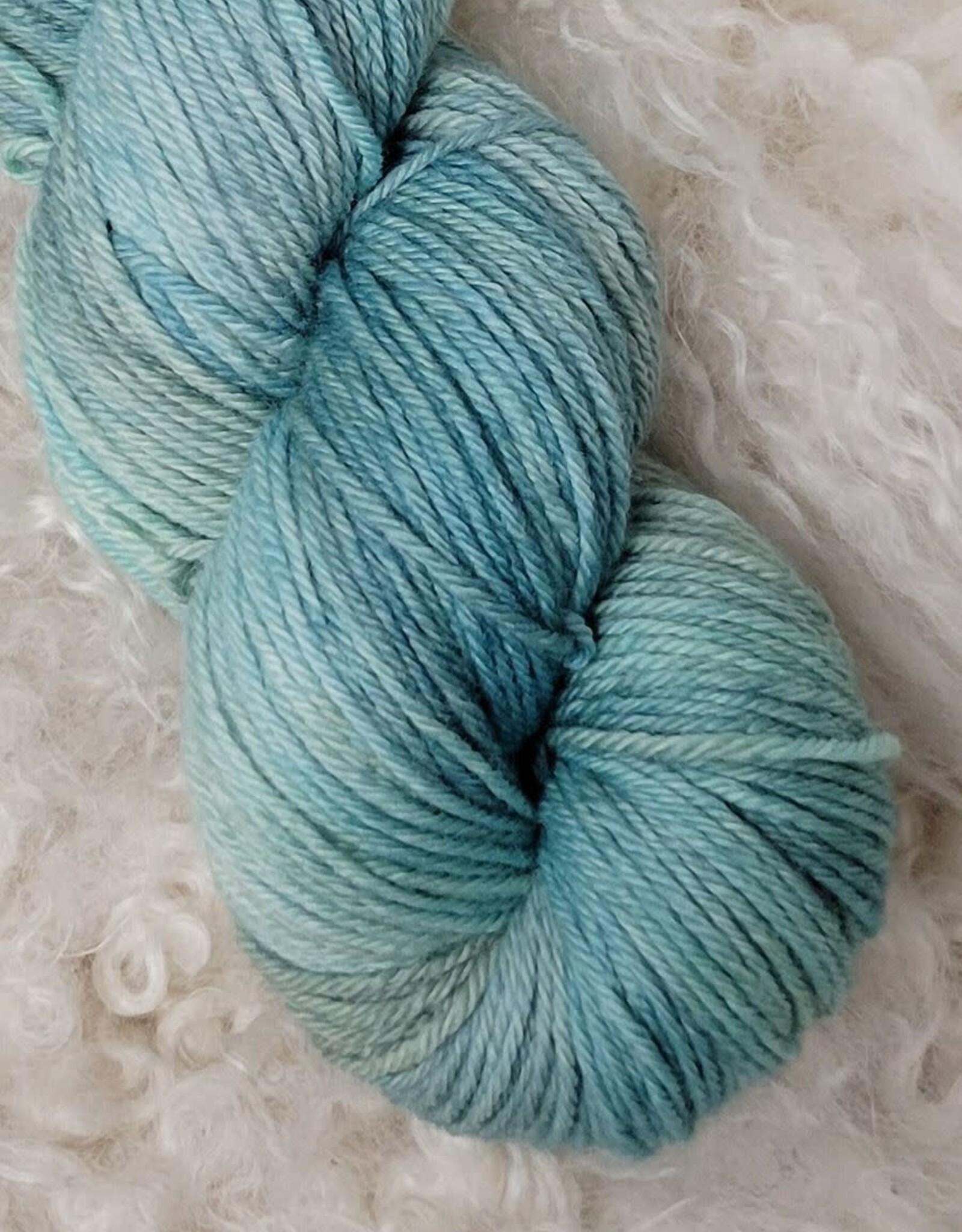 Palouse Yarn Co 7 Devils DK 100g Beach Blanket