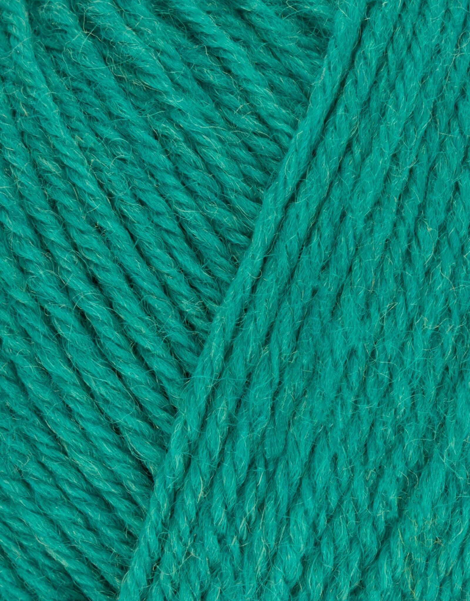 WYS ColourLab DK 100g #716 Deep Teal