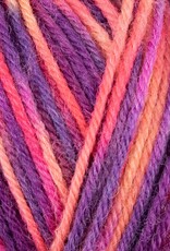 WYS ColourLab Sock DK 150g #1198 Jazz