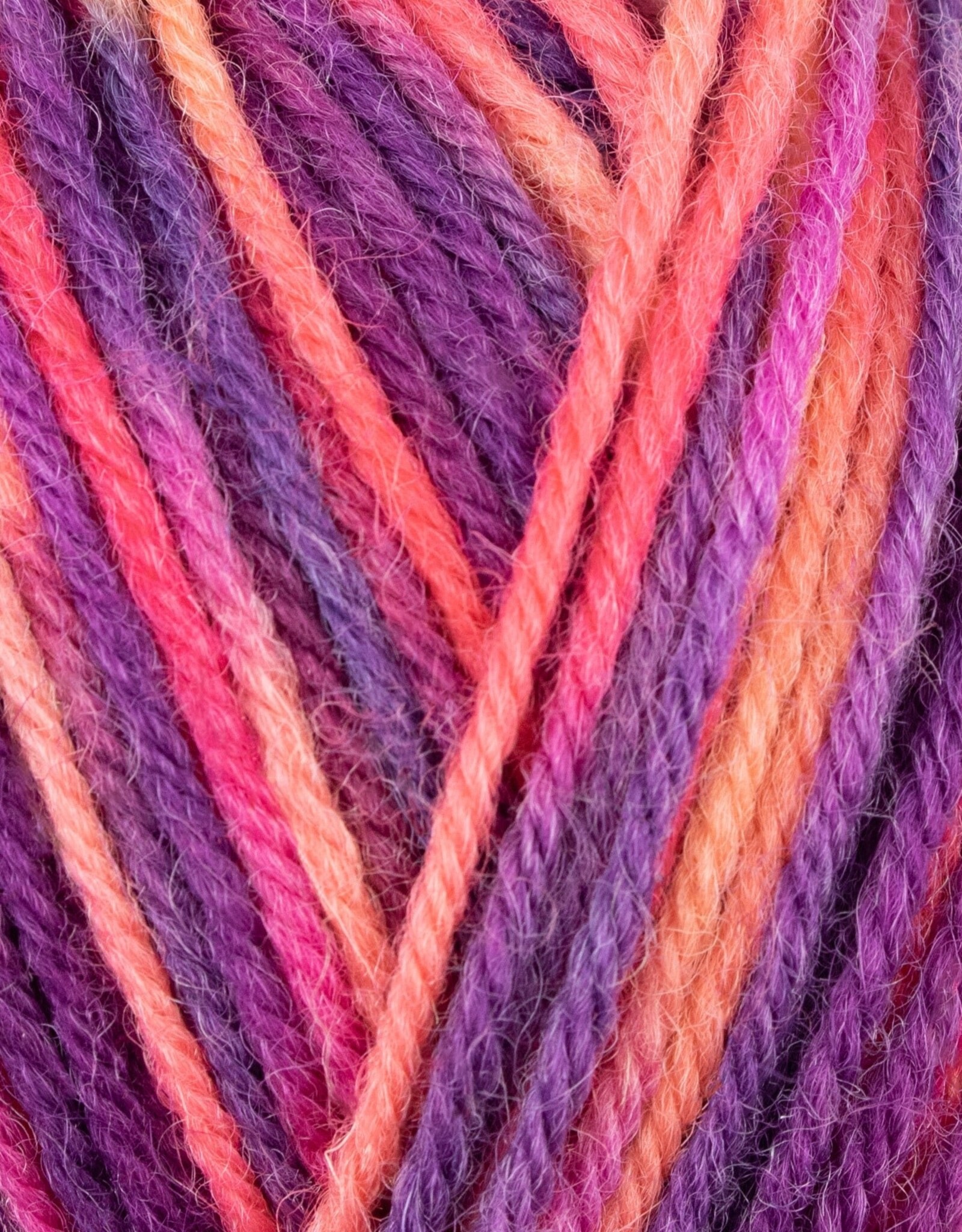 WYS ColourLab Sock DK 150g #1198 Jazz