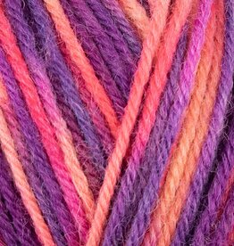WYS ColourLab Sock DK 150g #1198 Jazz
