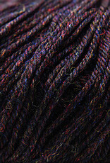 Cascade 220 SW Worsted 367 Galaxy