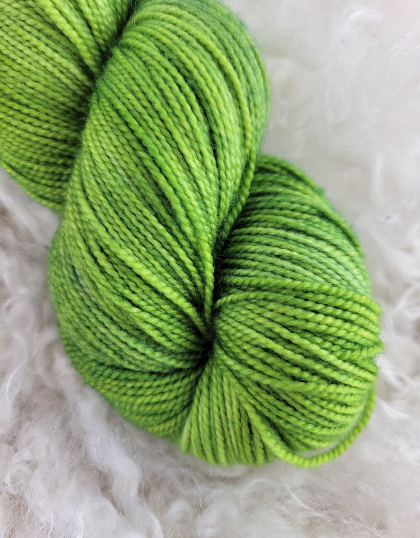 Palouse Yarn Lolo Sock 100g Truly Marisa