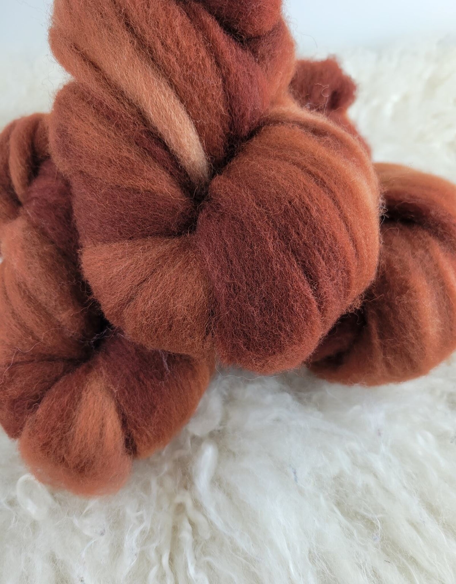 Palouse Yarn Fiber 2 oz Punta Arenas sienna
