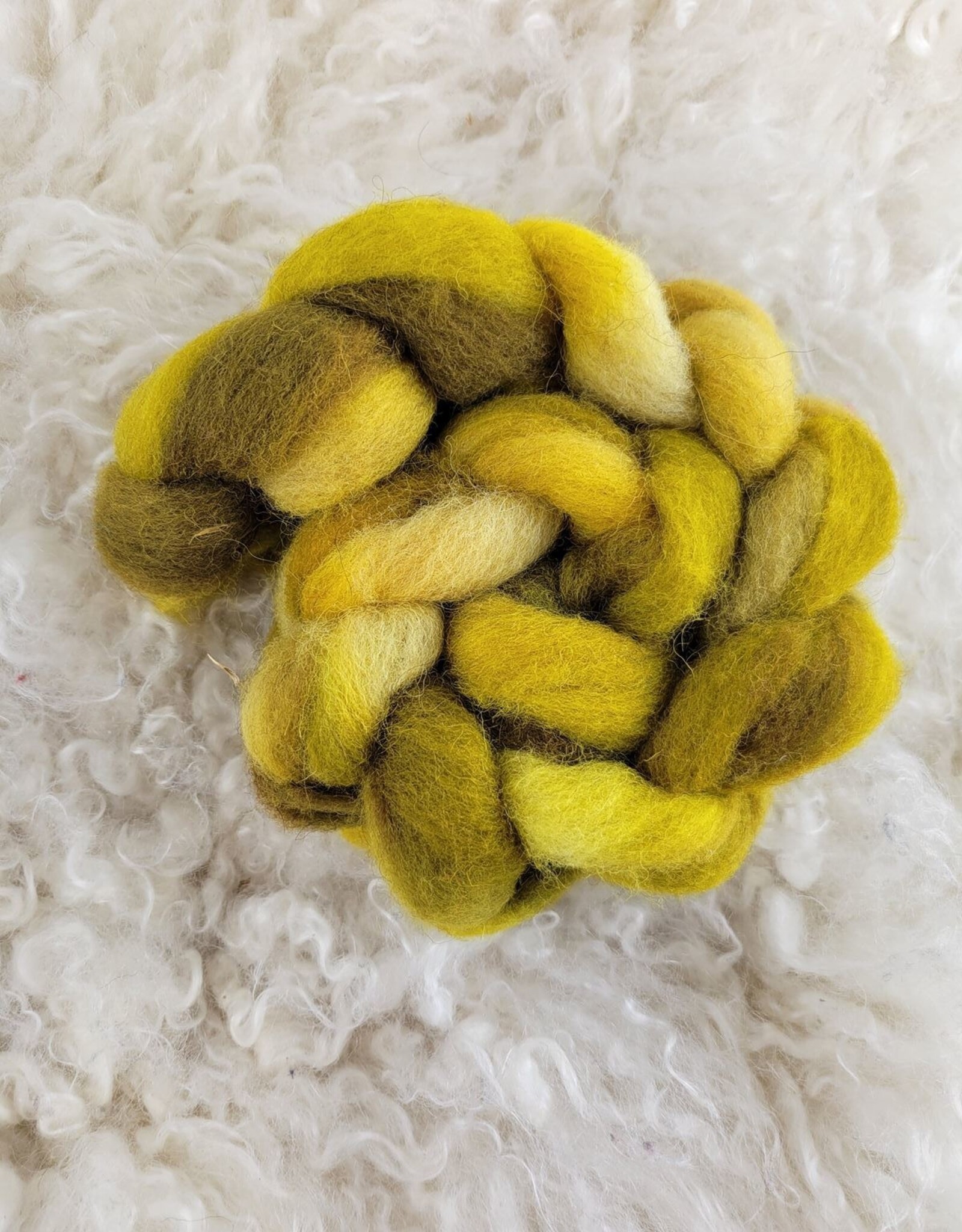 Palouse Yarn Fiber 2 oz Cheviot hand dyed