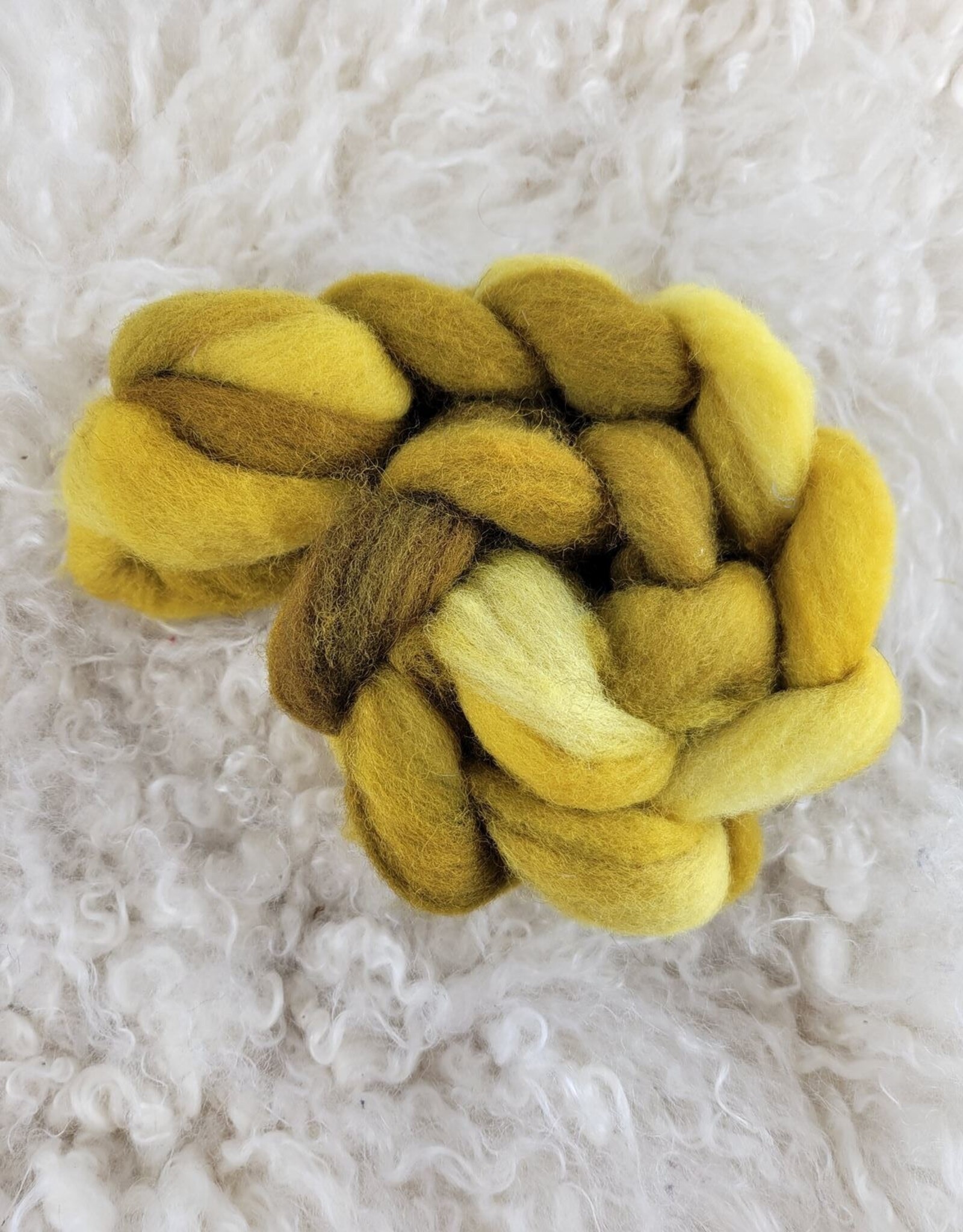 Palouse Yarn Fiber 2 oz Cheviot hand dyed