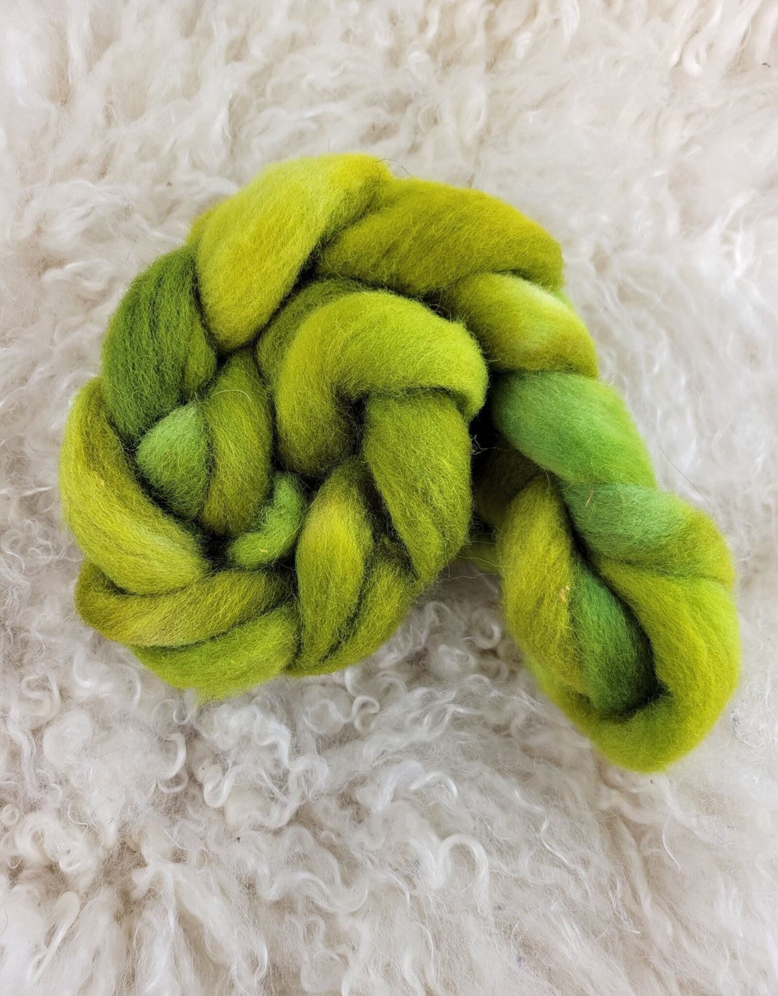 Palouse Yarn Fiber 2 oz Cheviot hand dyed