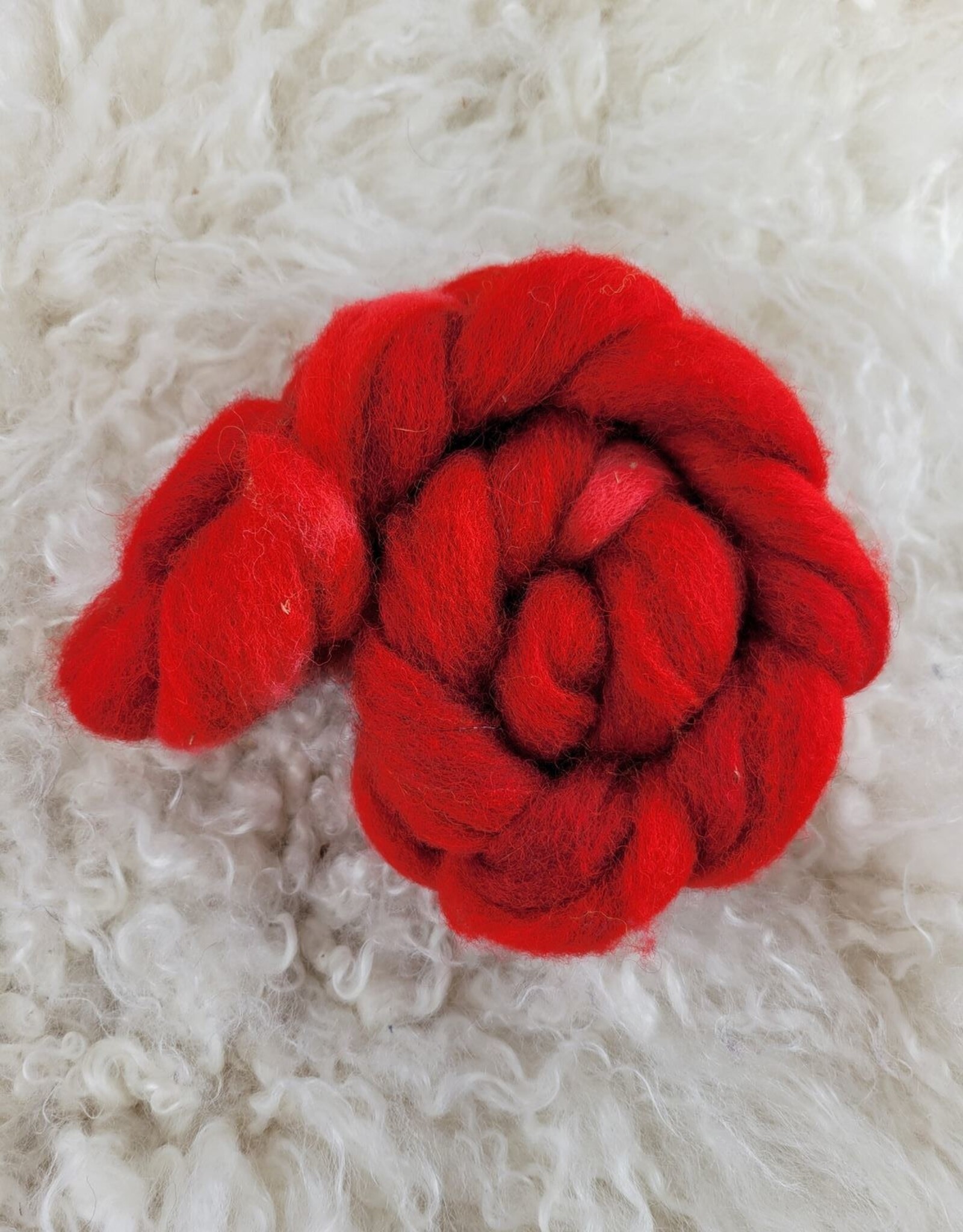 Palouse Yarn Fiber 2 oz Cheviot hand dyed