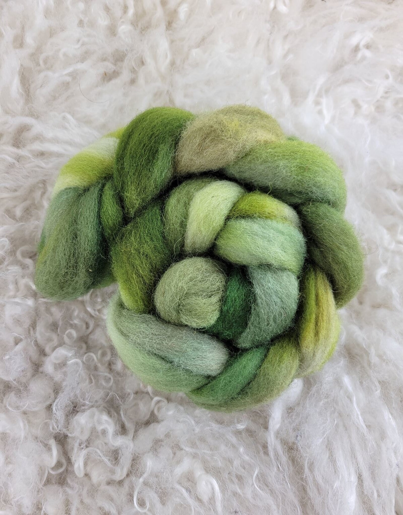Palouse Yarn Fiber 2 oz Cheviot hand dyed