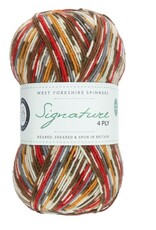 WYS Signature 4 Ply 100g #941 robin