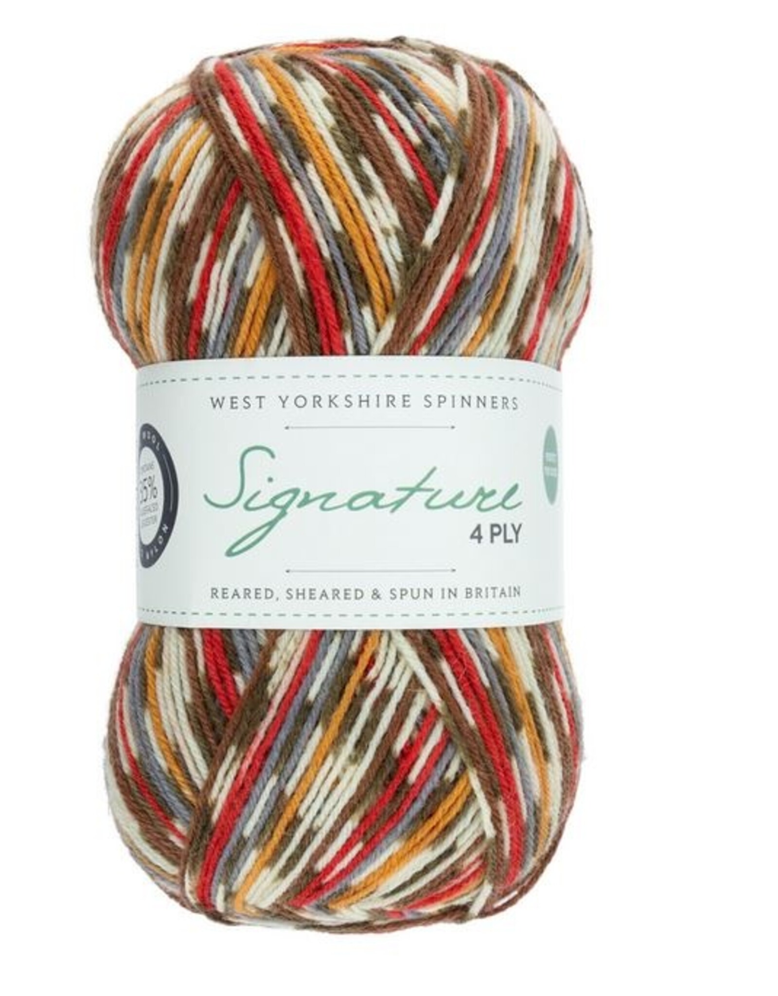 WYS Signature 4 Ply 100g #941 robin