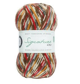 WYS Signature 4 Ply 100g #941 robin