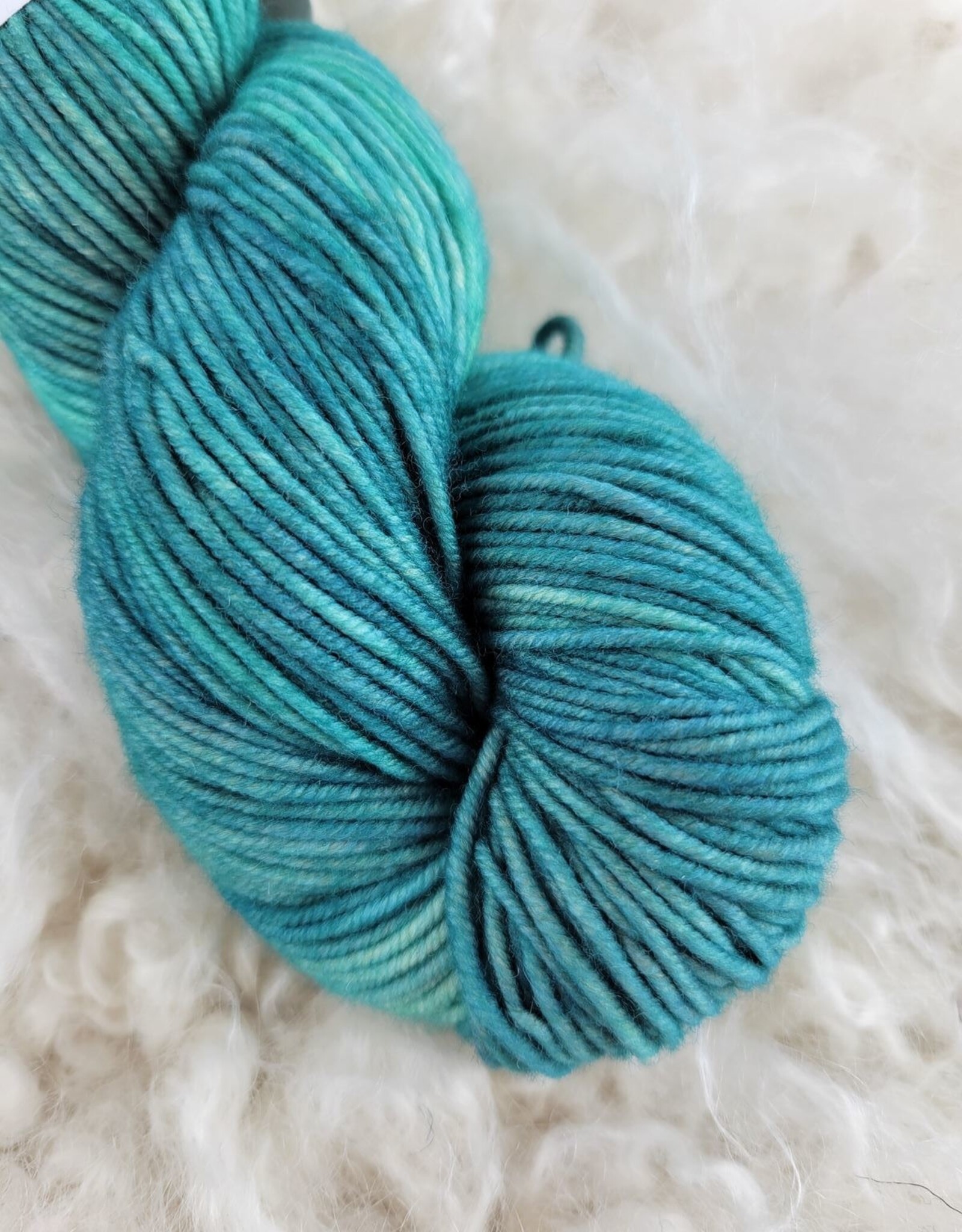 Palouse Yarn Centennial SW Worsted 100g beach blanket