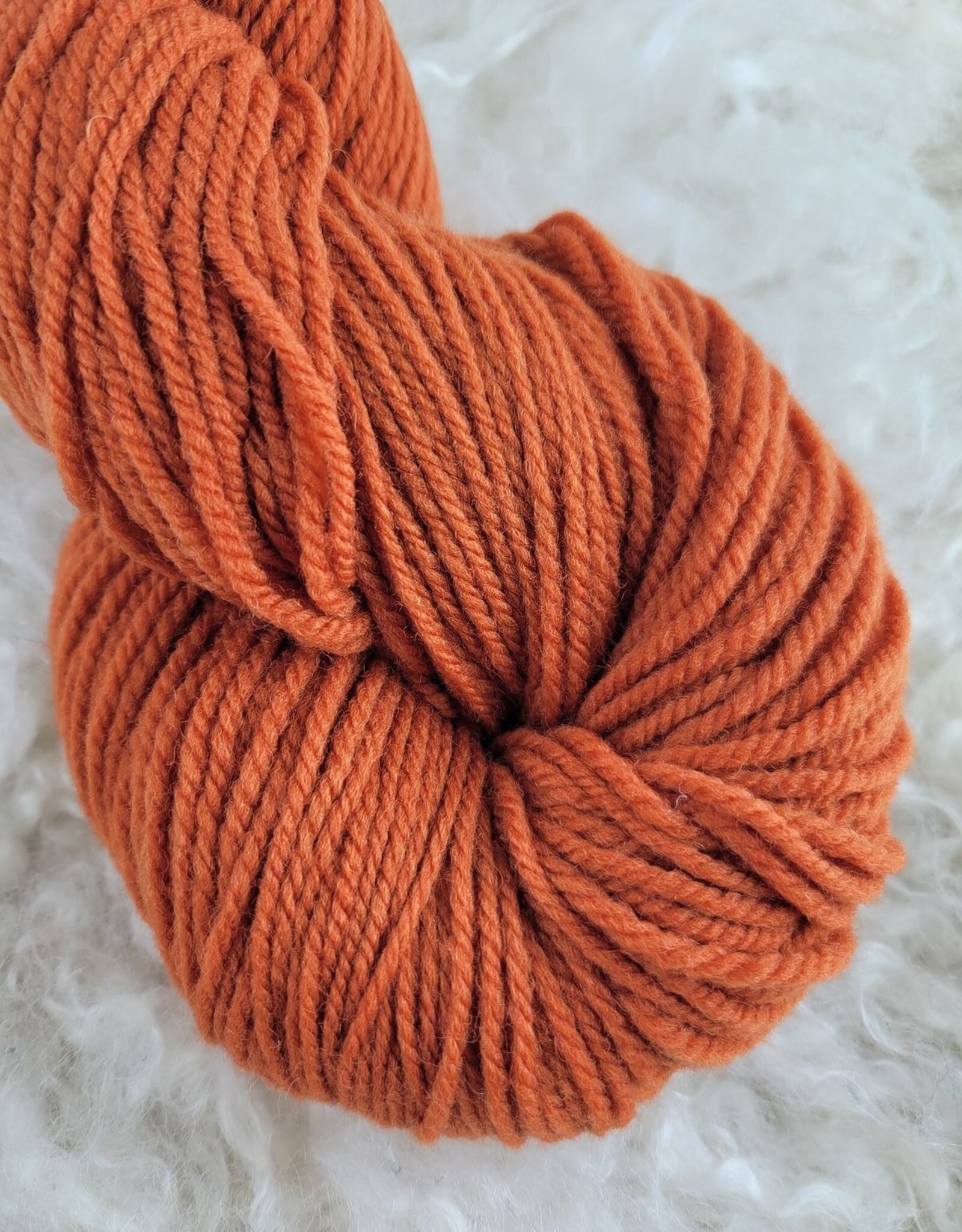 Brown Sheep Brown Sheep Prairie Spun DK 100g 165 painted desert