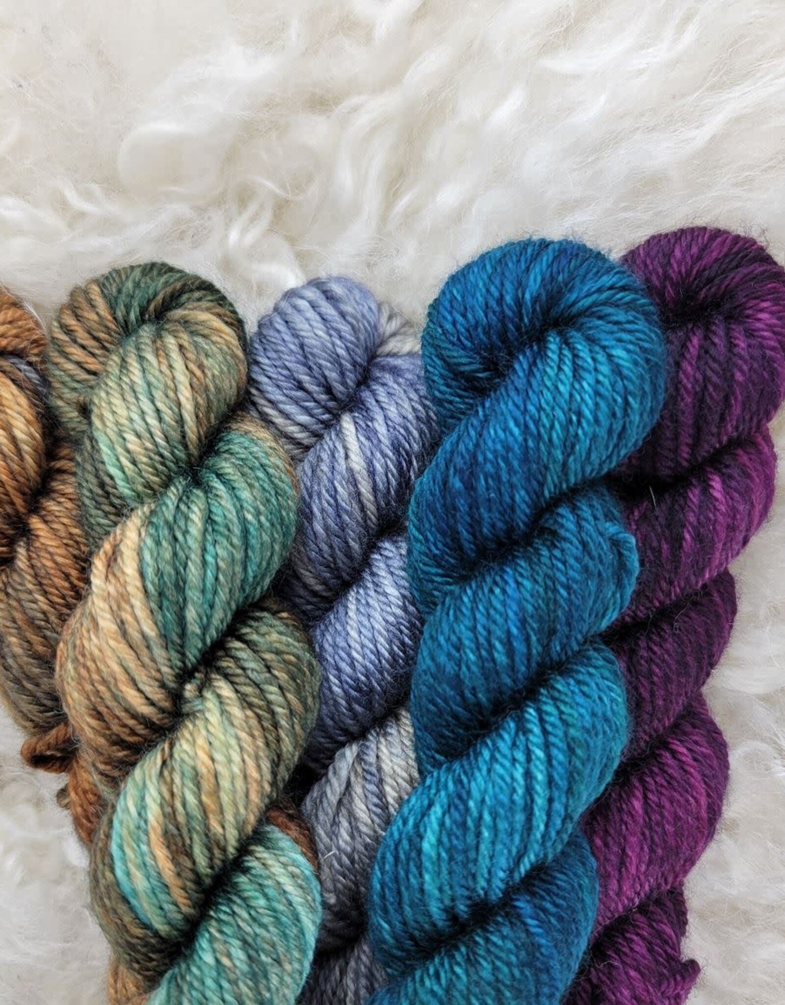 Palouse Yarn Co Mini Bundle Magruder DK- Lunch On The Lochsa