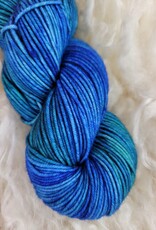 Palouse Yarn Co Centennial SW Worsted 100g My Inner Alicia