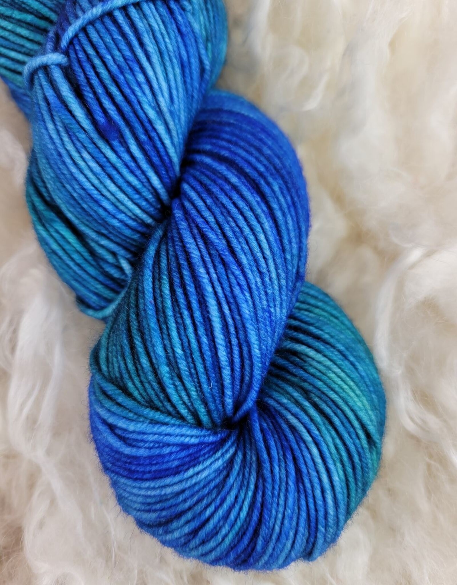 Palouse Yarn Co Centennial SW Worsted 100g My Inner Alicia