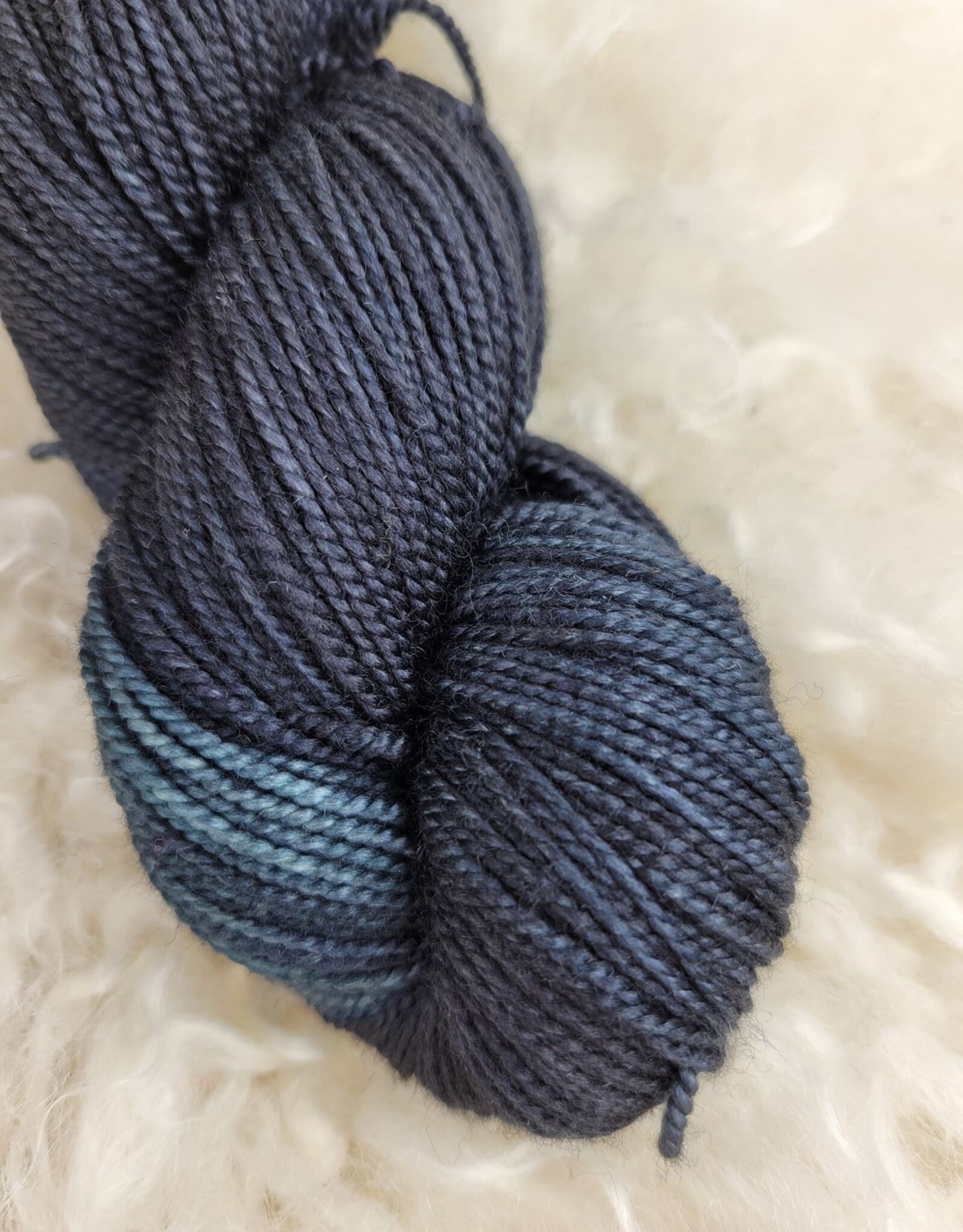 Palouse Yarn Co Lolo Sock 100g Blue Moon