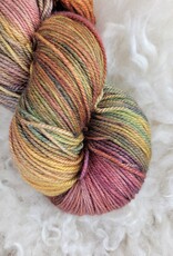 Palouse Yarn Cash Squeeze Reflections