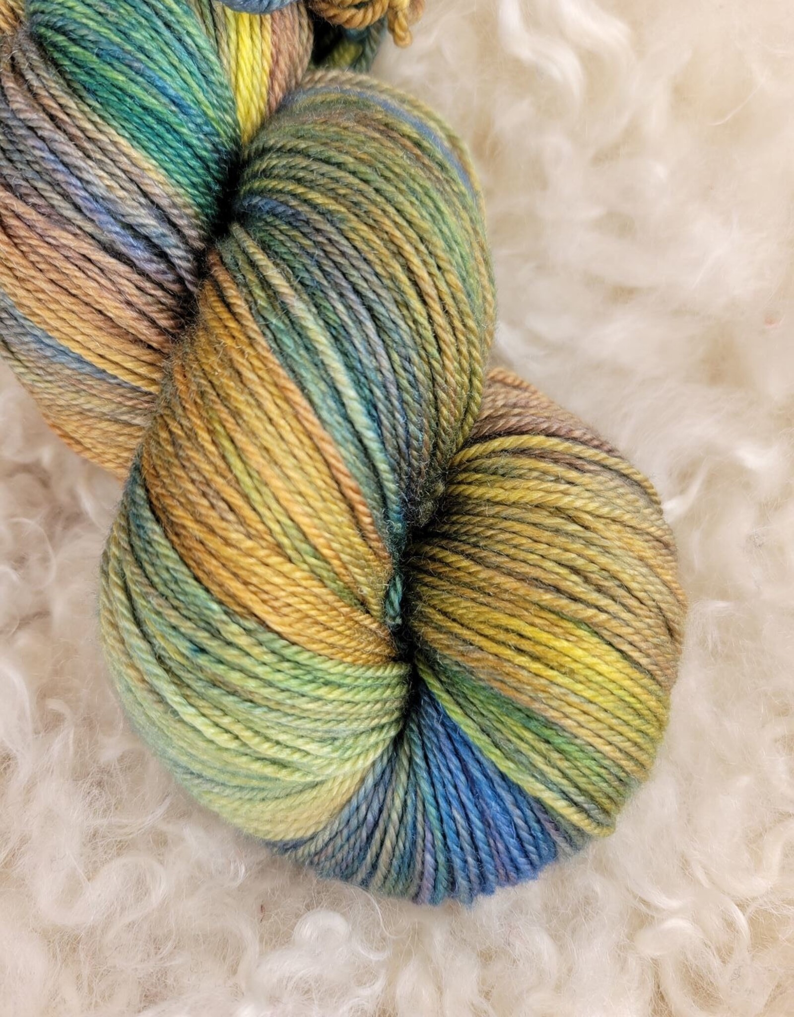 Palouse Yarn Cash Squeeze Monet