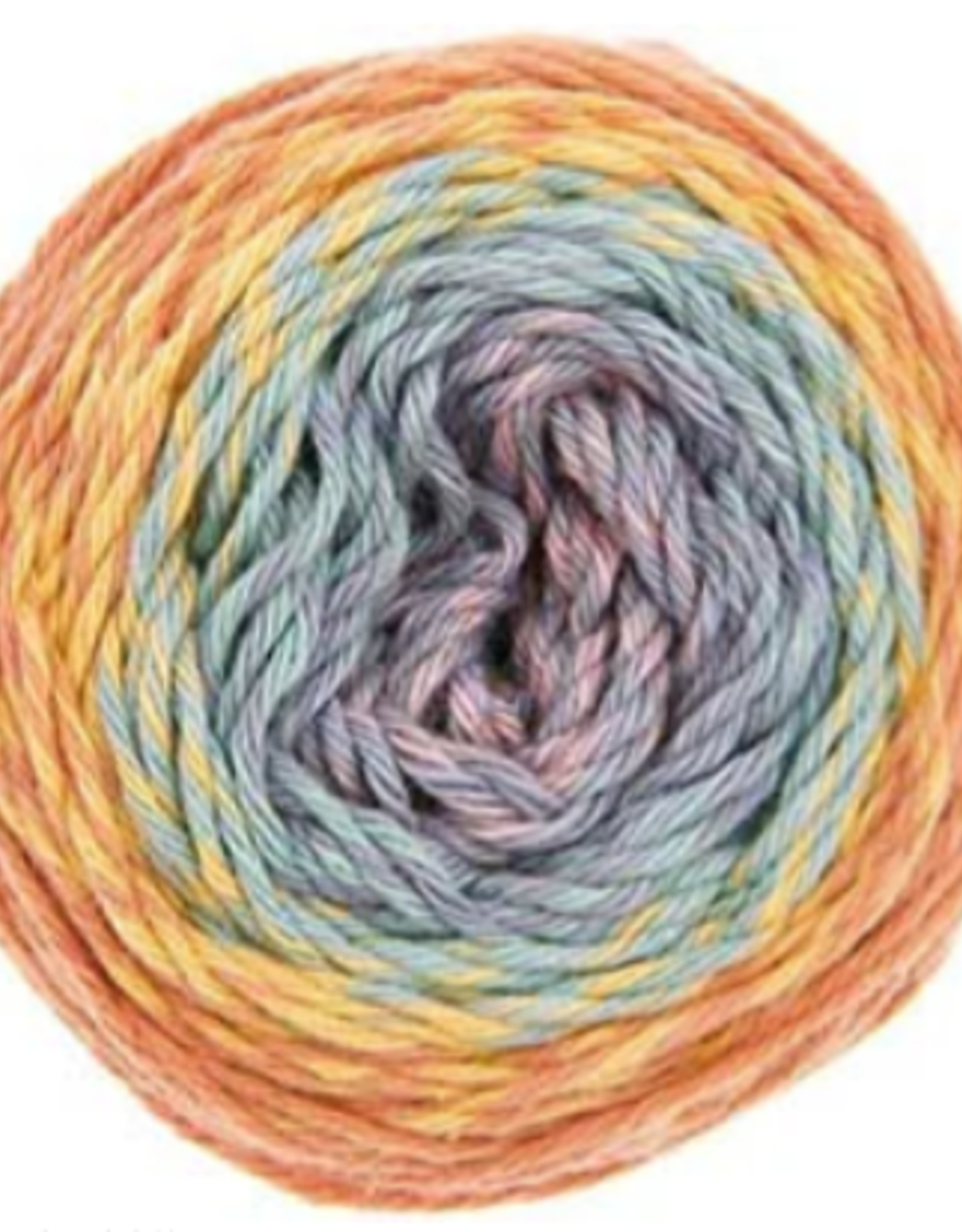 Ricorumi Spin Spin DK 50g earthy rainbow