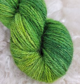 Palouse Yarn Moorland DK 100g Spring Meadow