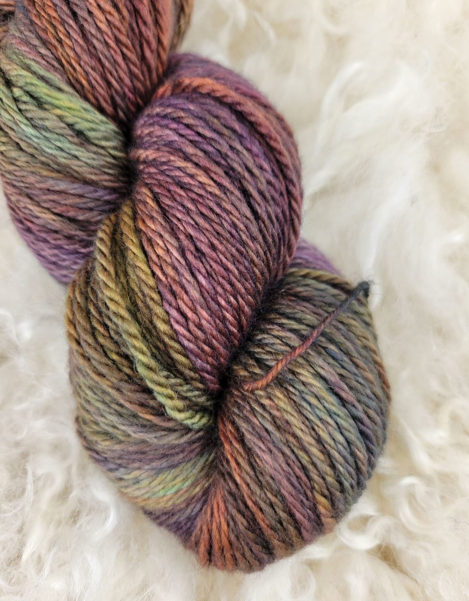 Palouse Yarn Co Owyhee Aran 100g I Smell Fall