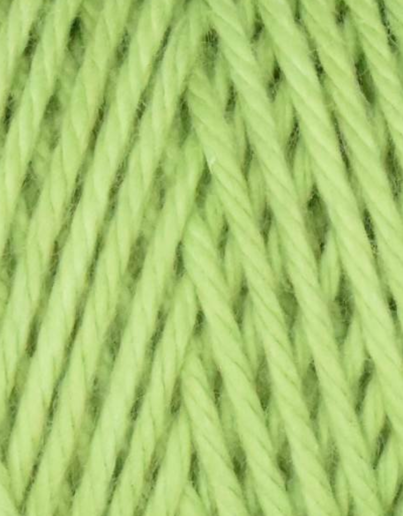 Queensland Coastal Cotton 100g #1061 Sage