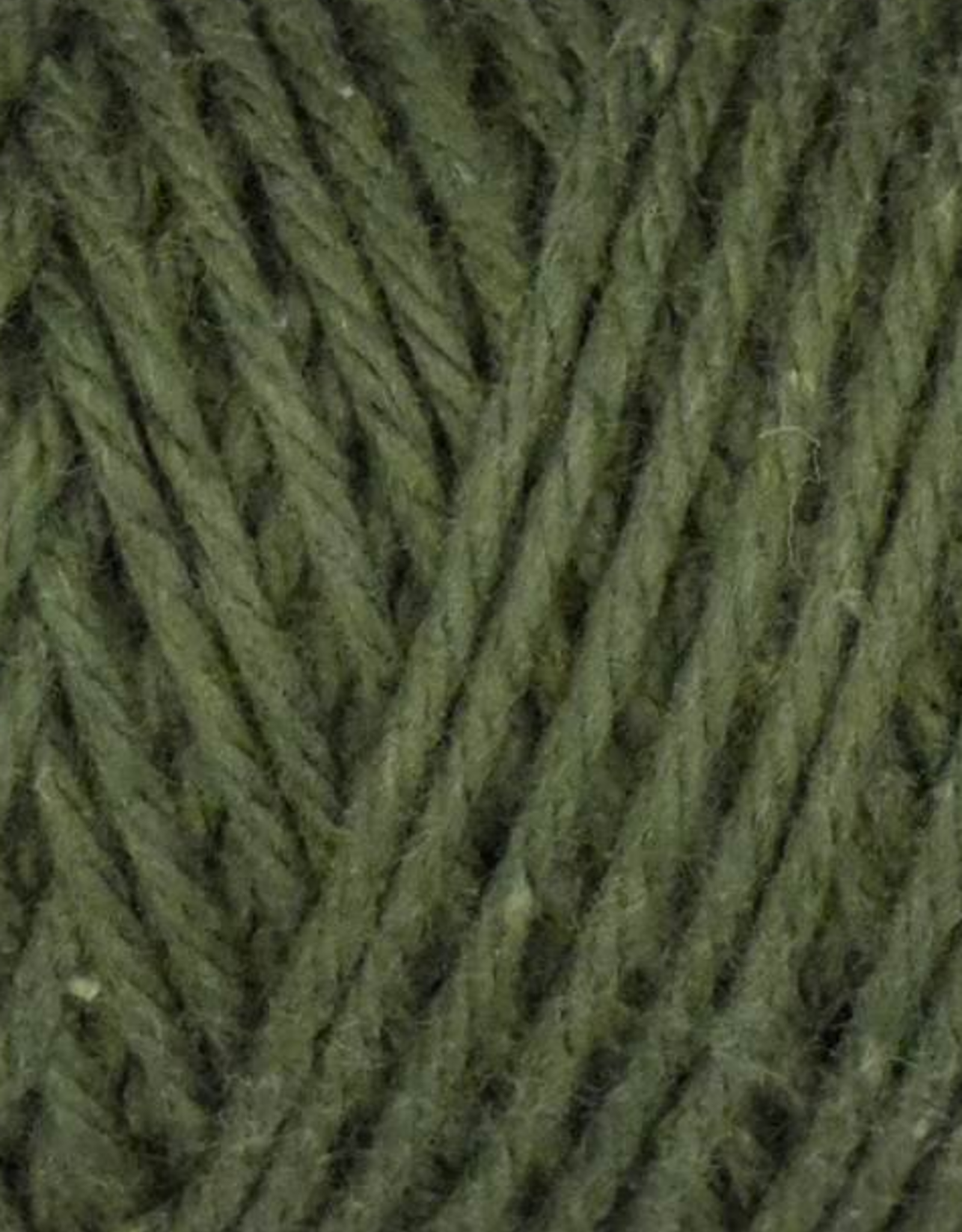 Queensland Coastal Cotton 100g #1042 Seaweed