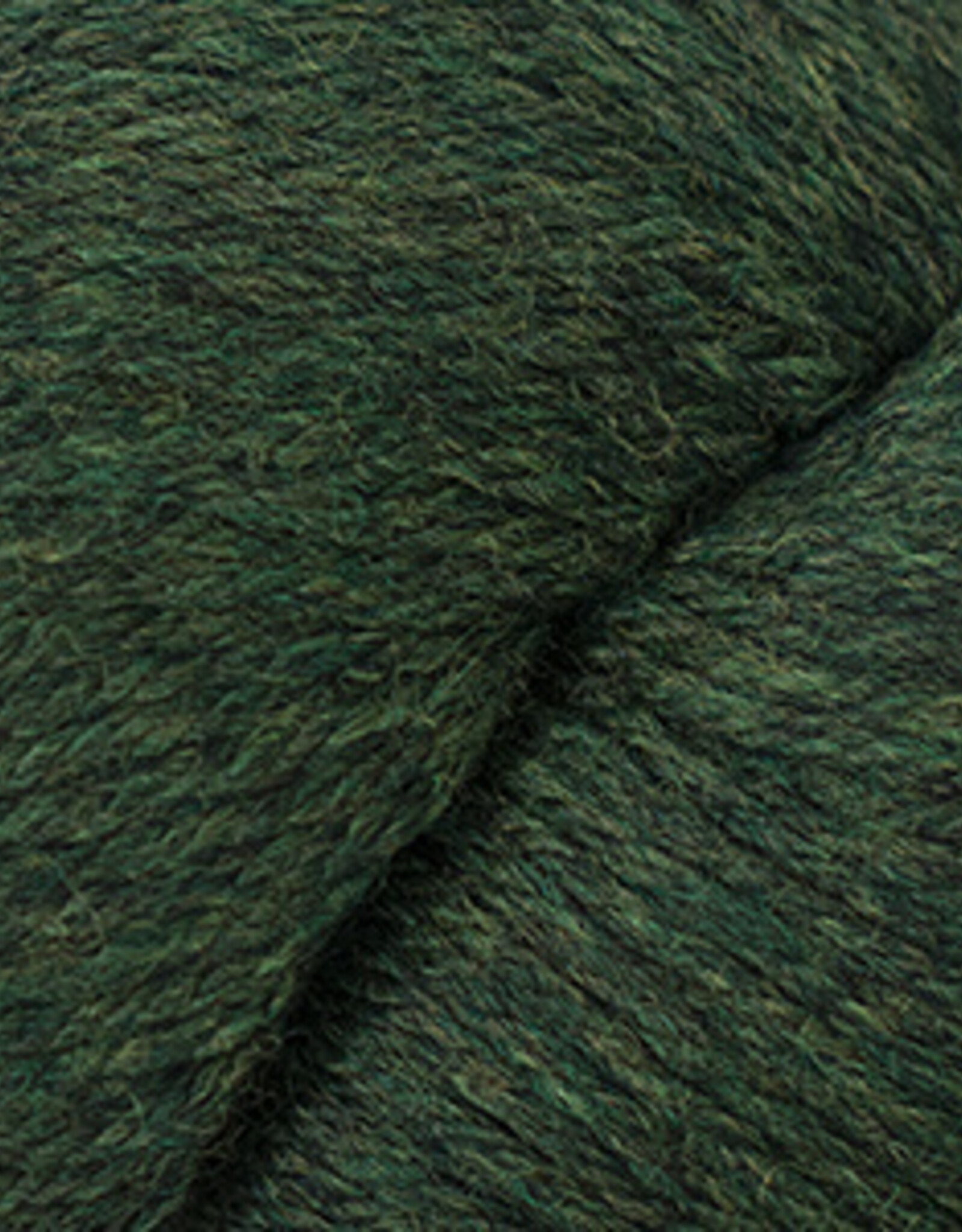 Cascade 220 Worsted 100g 2445 Shire