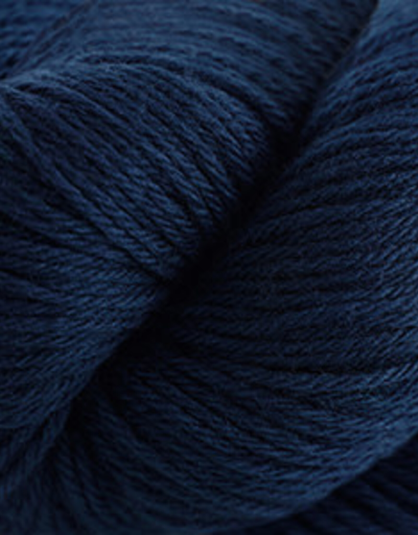 Cascade 220 Worsted 100g 2448 Mallard