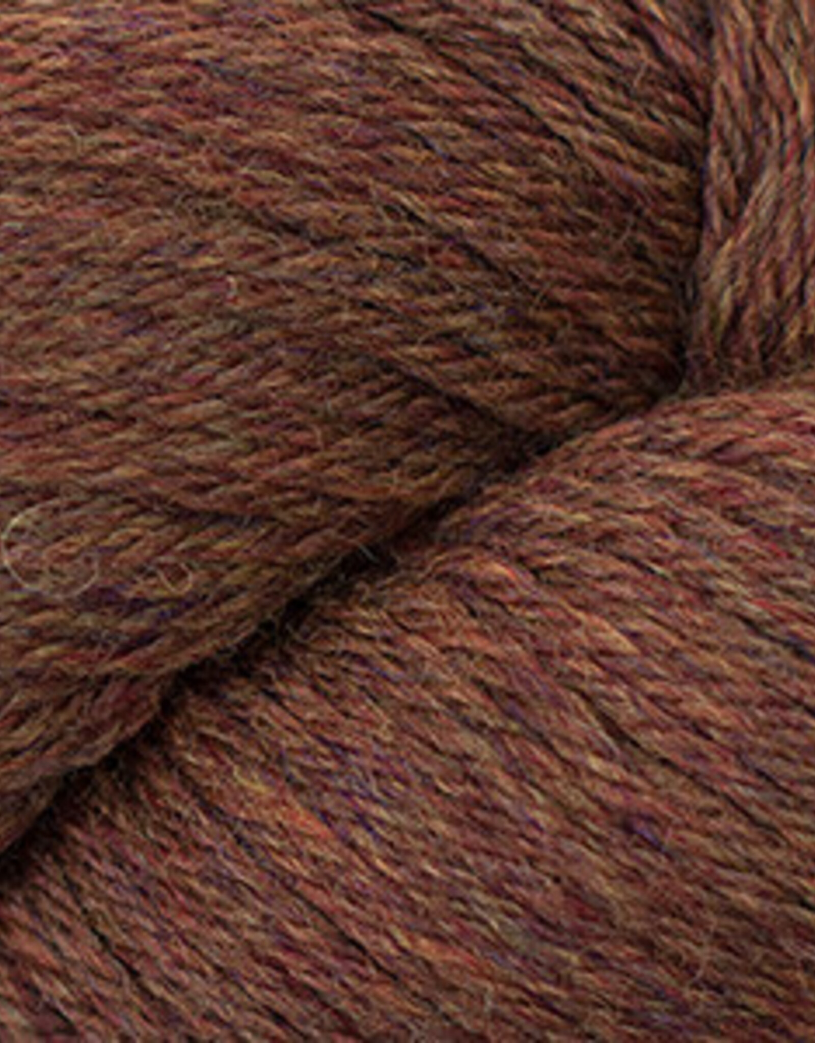Cascade 220 Worsted 100g 2453 Pumpkin Spice