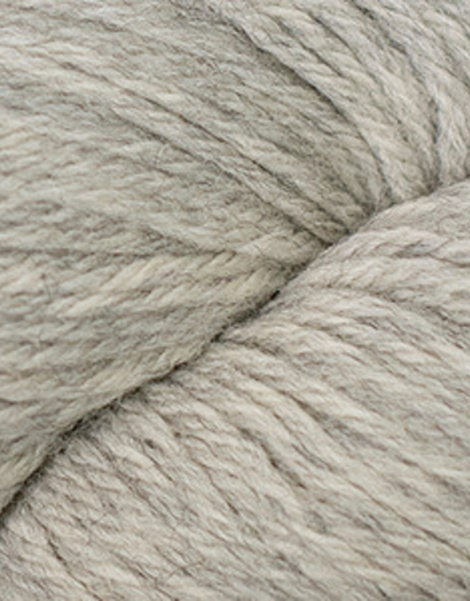 Cascade 220 Worsted 100g 8011 Aspen H