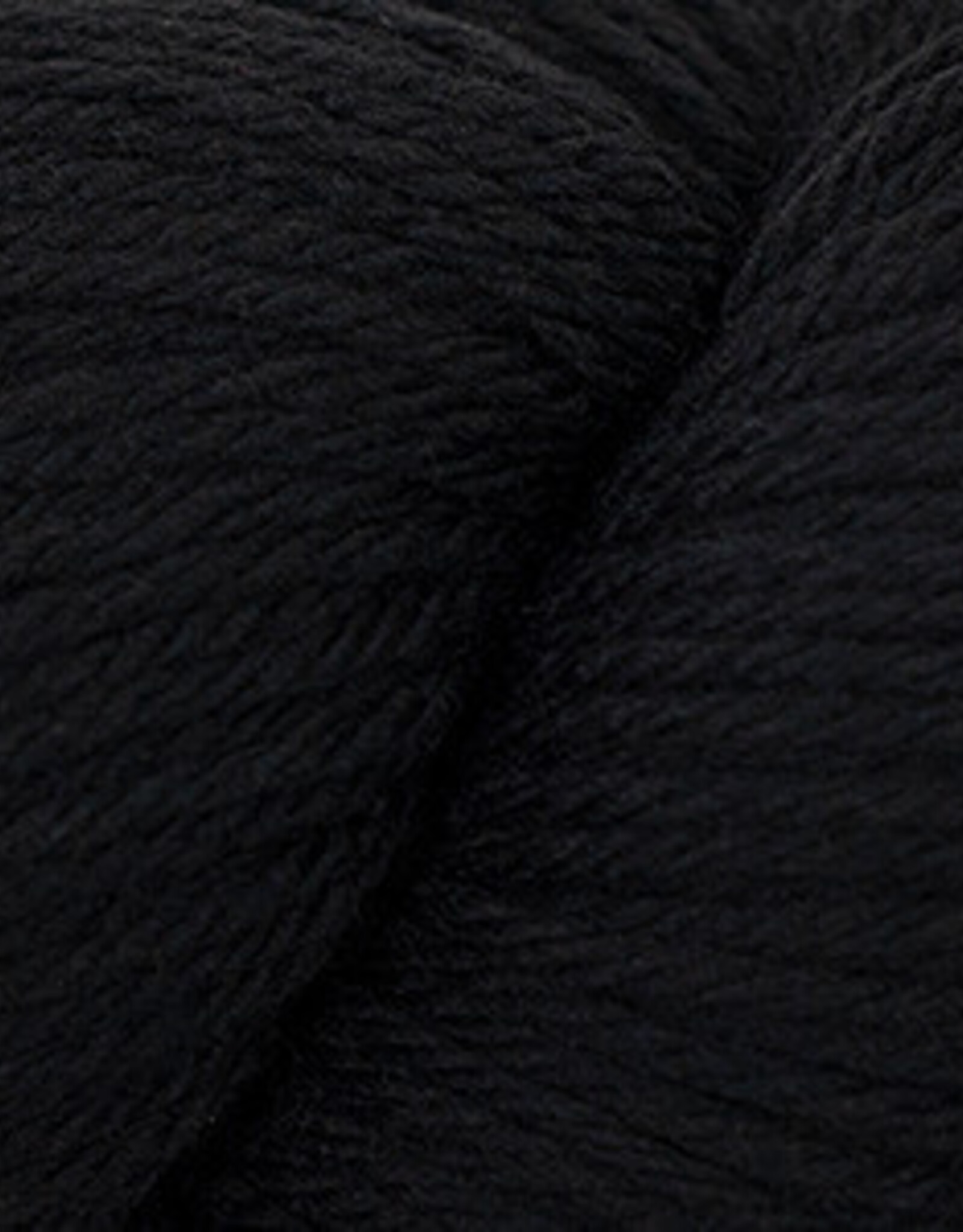 Cascade 220 Worsted 100g 8555 Black