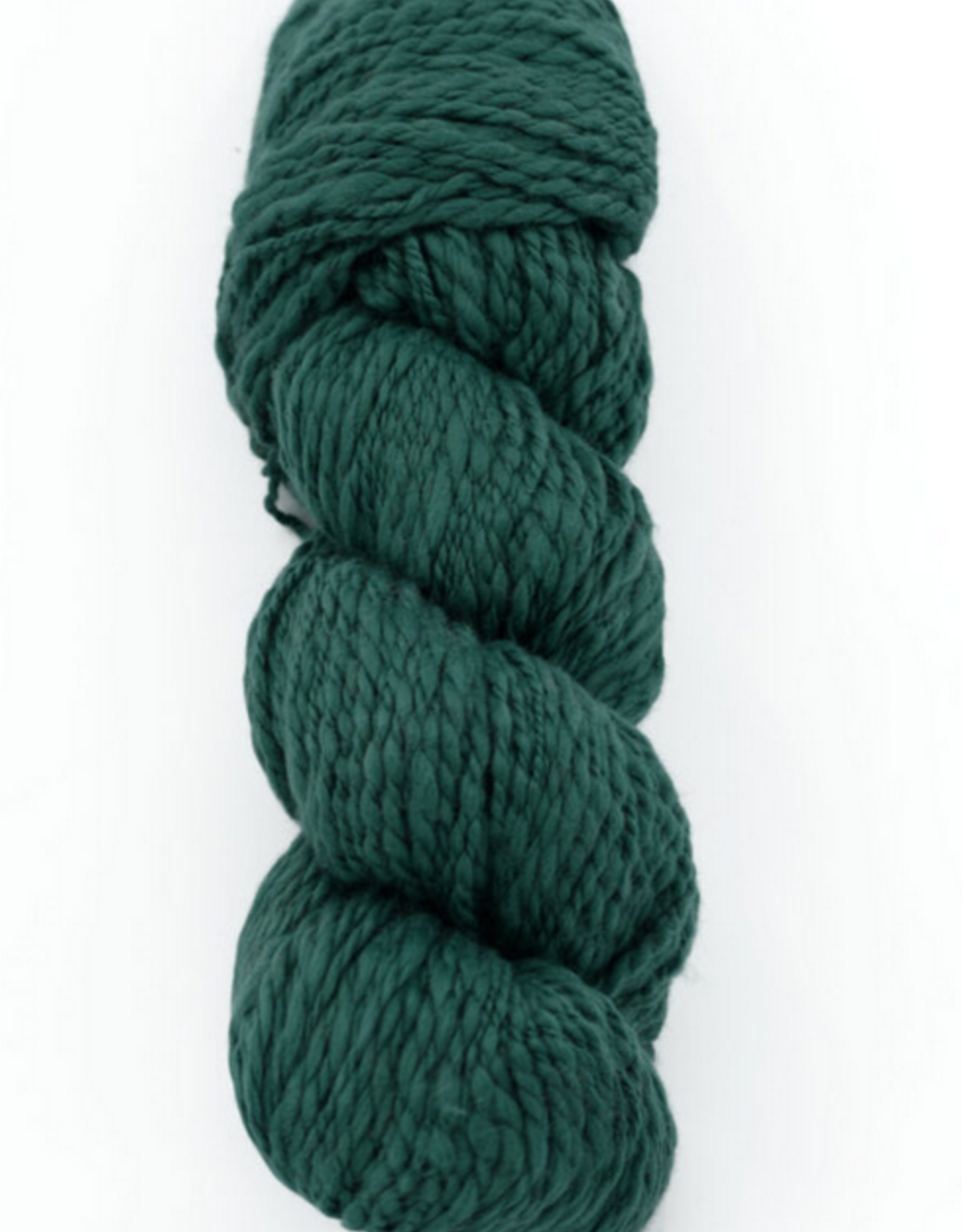 Galler Yarns Inca Eco Cotton 100g 634 Rainforest