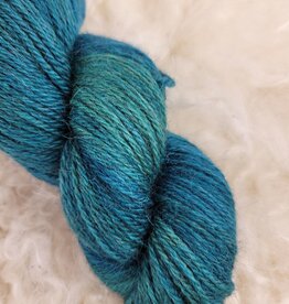 Palouse Yarn Moorland DK 100g FDR (the new teal)