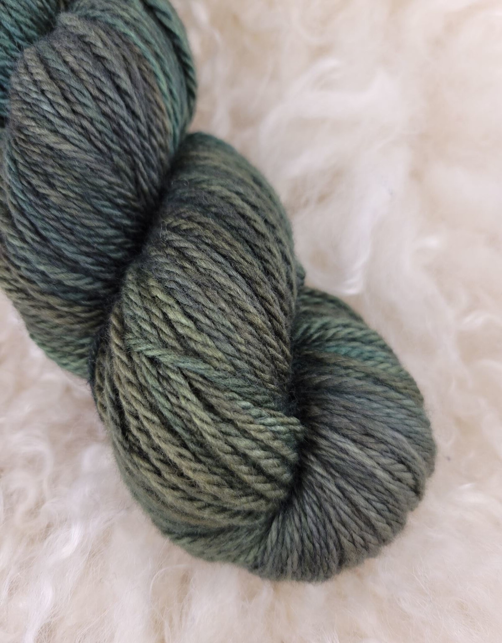 Palouse Yarn Co Owyhee Aran 100g Boreal Forest