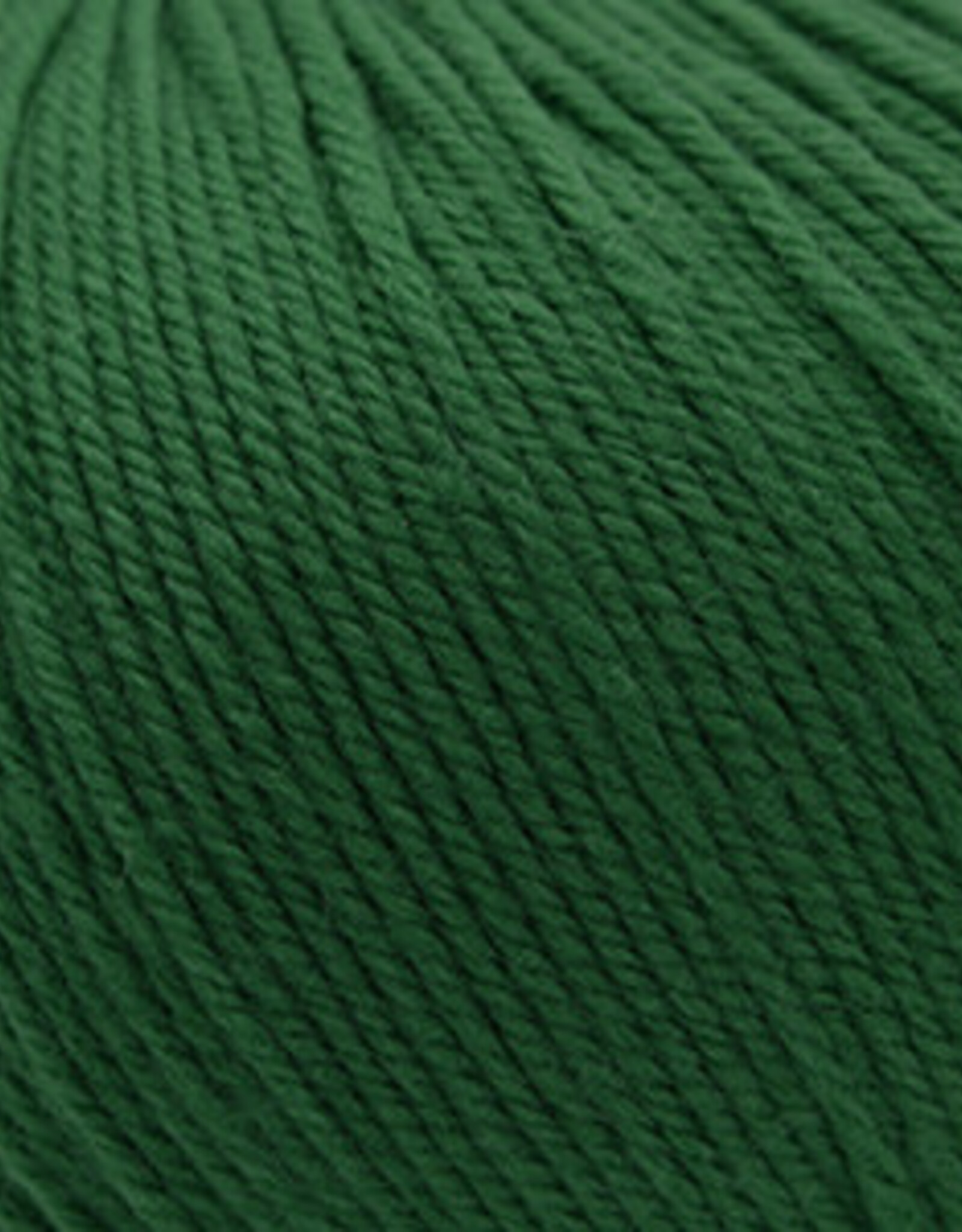 Cascade 220 SW 352 Worsted Verdant Green