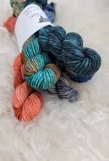 Palouse Yarn Co Mini Bundle Magruder DK Autumn Equinox