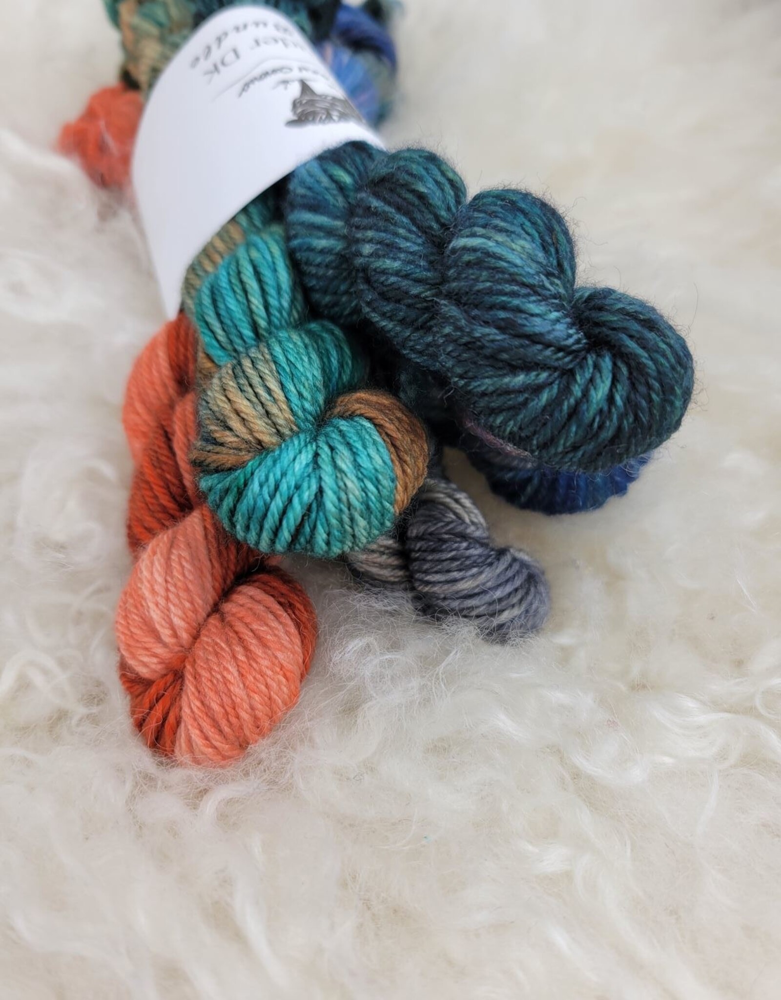 Palouse Yarn Mini Bundle Magruder DK Autumn Equinox