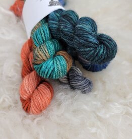 Palouse Yarn Mini Bundle Magruder DK Autumn Equinox
