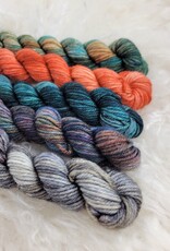 Palouse Yarn Co Mini Bundle Magruder DK Autumn Equinox