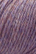 Cascade 220 SW Worsted 362 iridescense