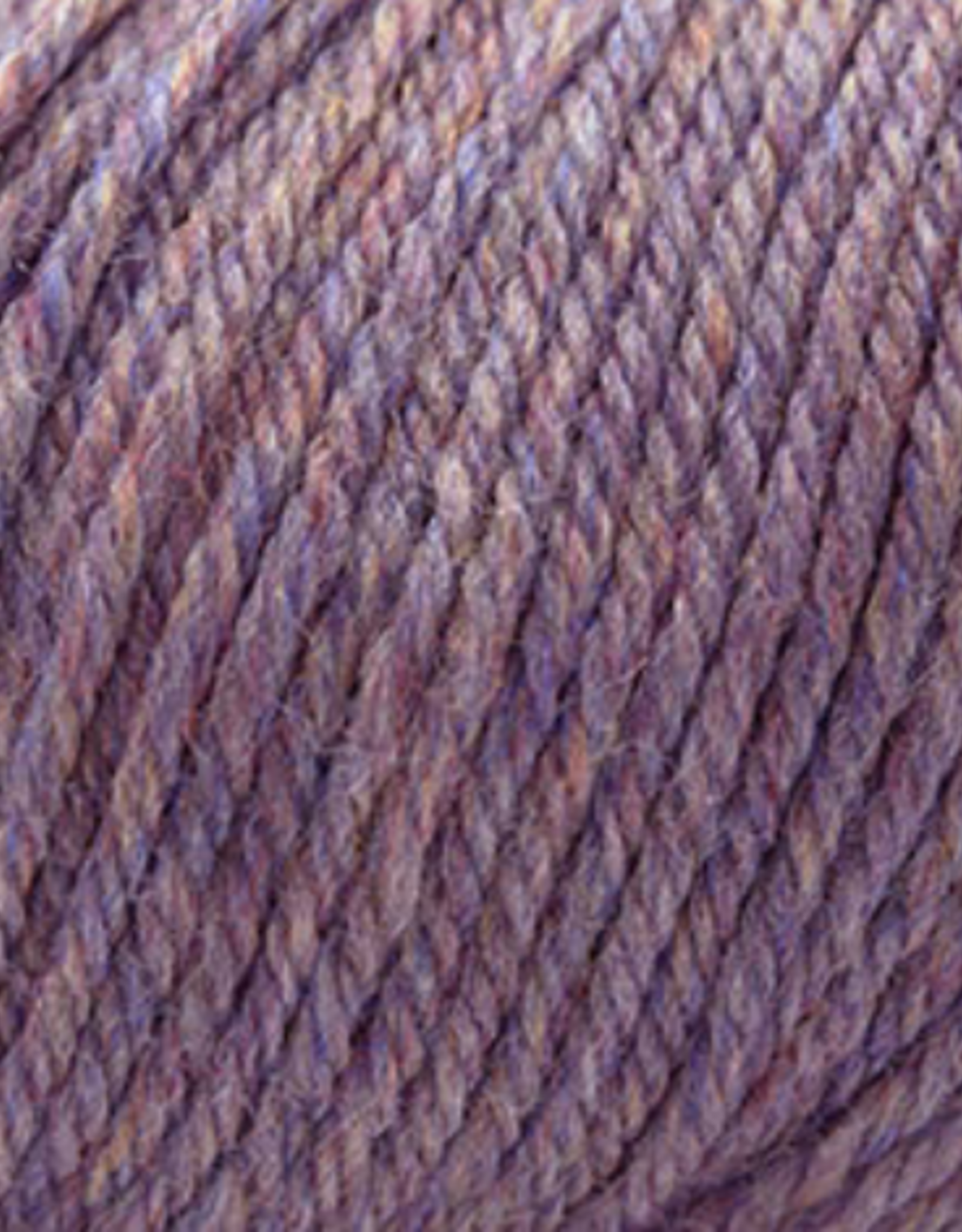 Cascade 220 SW Worsted 362 iridescense