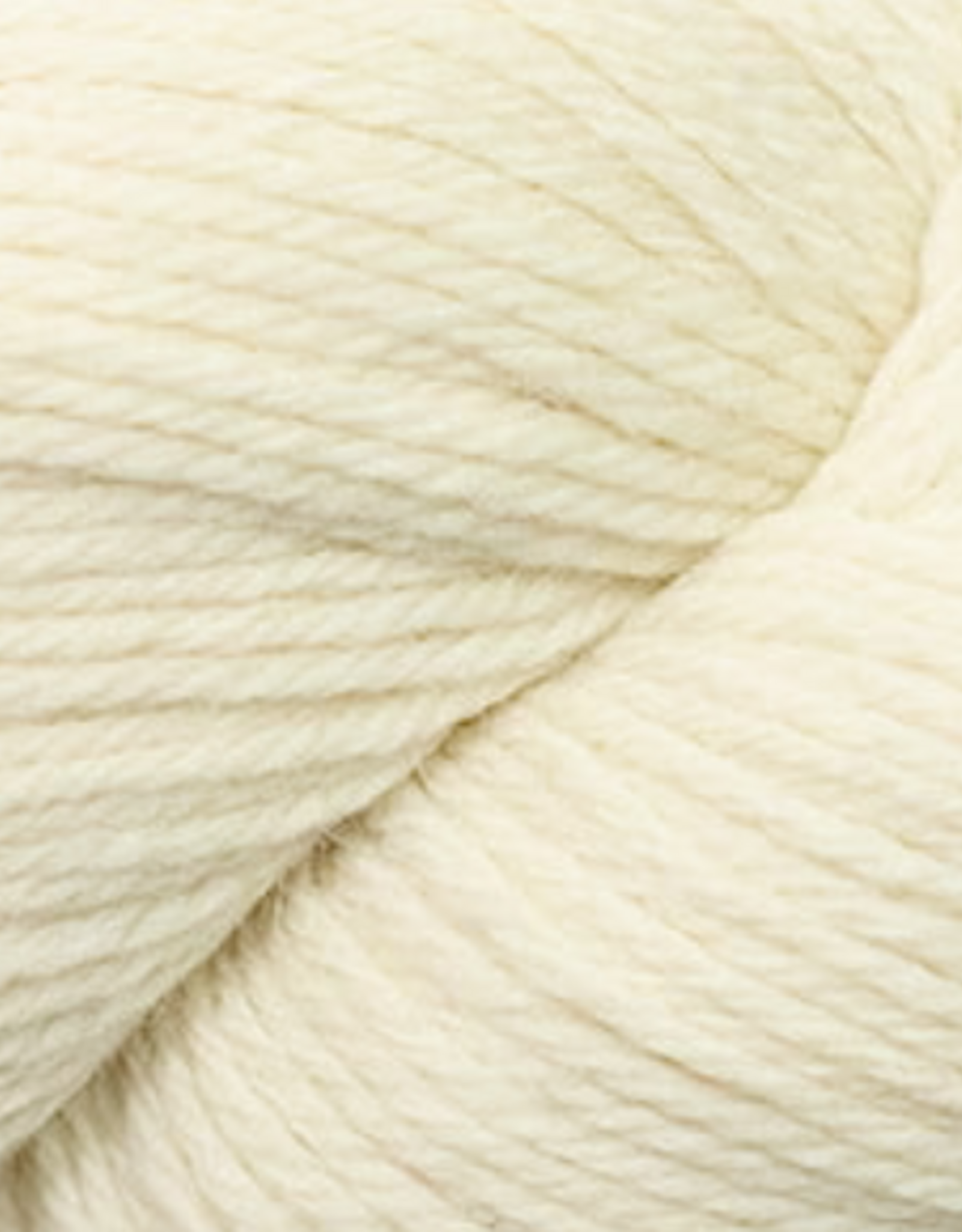 Cascade 220 Worsted 100g 8010 Natural