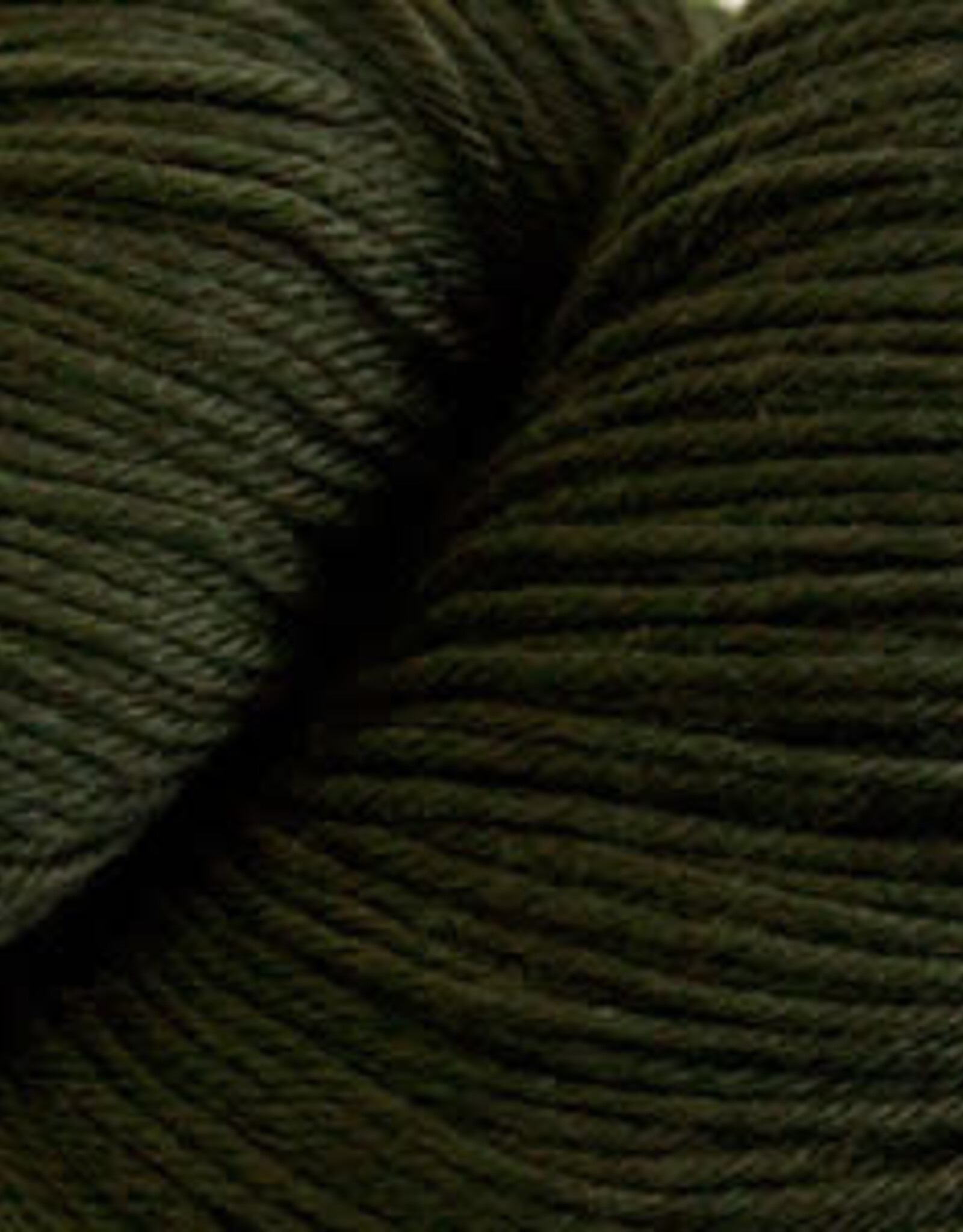 Cascade Heritage Sock 100g 5634 mossy rock
