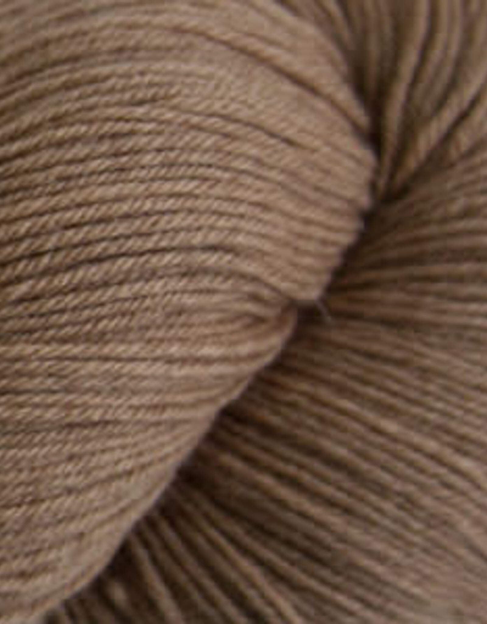 Cascade Heritage Sock 100g 5610 camel
